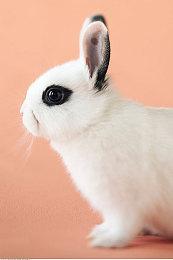 《魔咒之地》76分钟偷跑视频泄露 1月24日发售